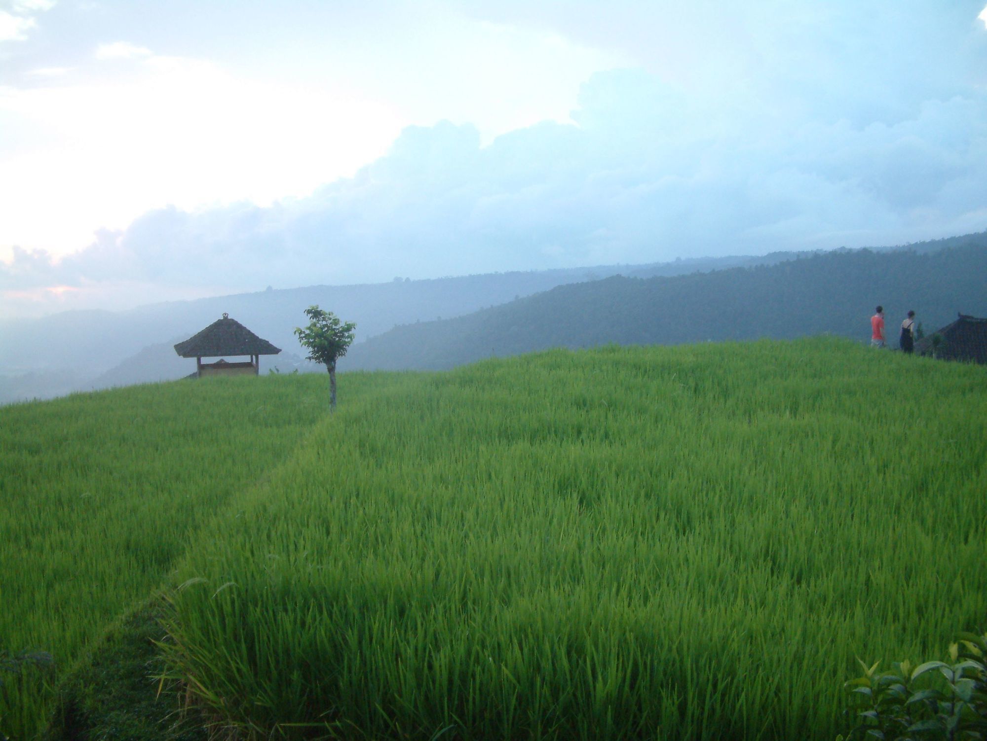 Puri Lumbung Cottages Gobleg  Екстериор снимка