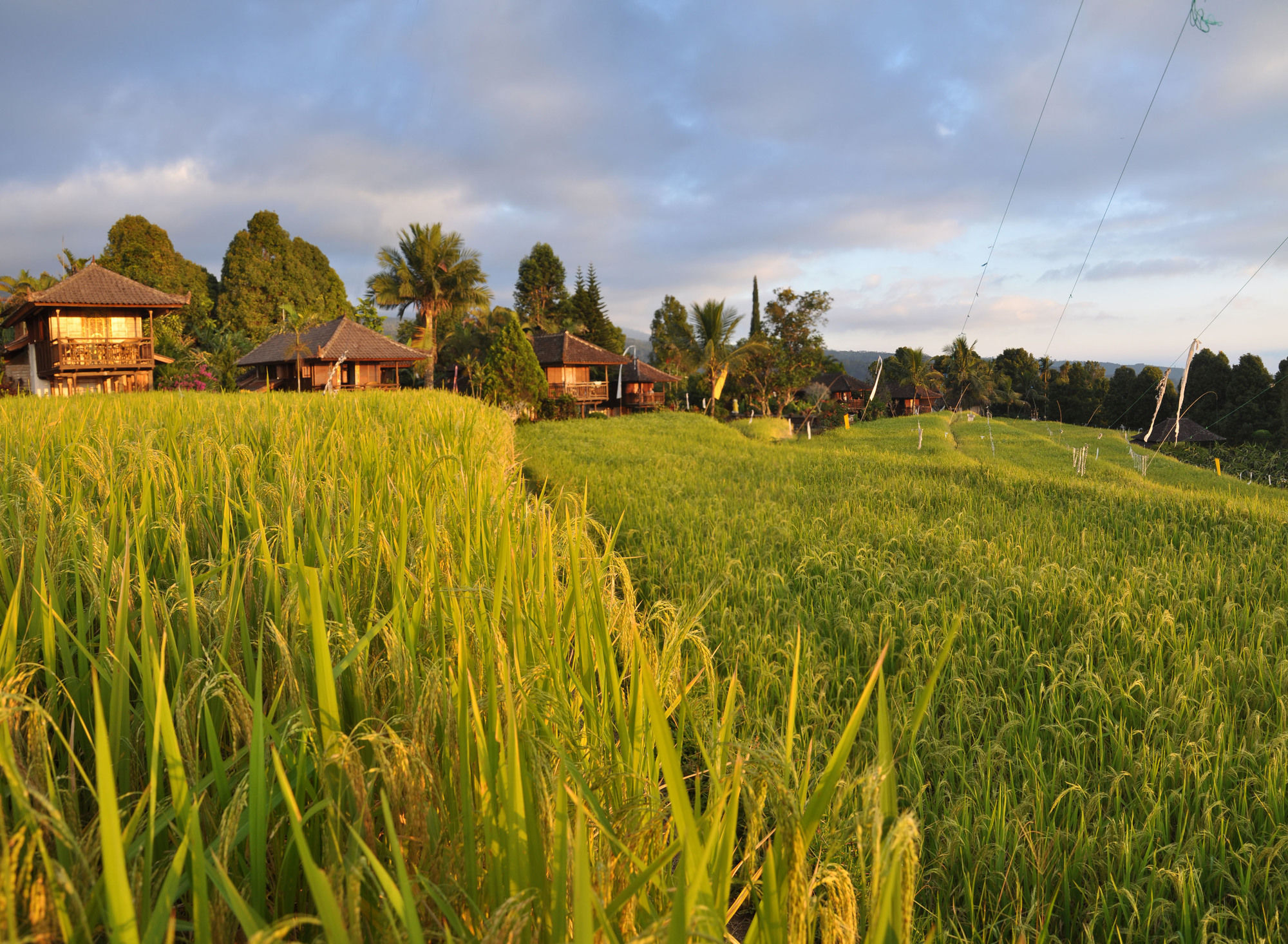 Puri Lumbung Cottages Gobleg  Екстериор снимка