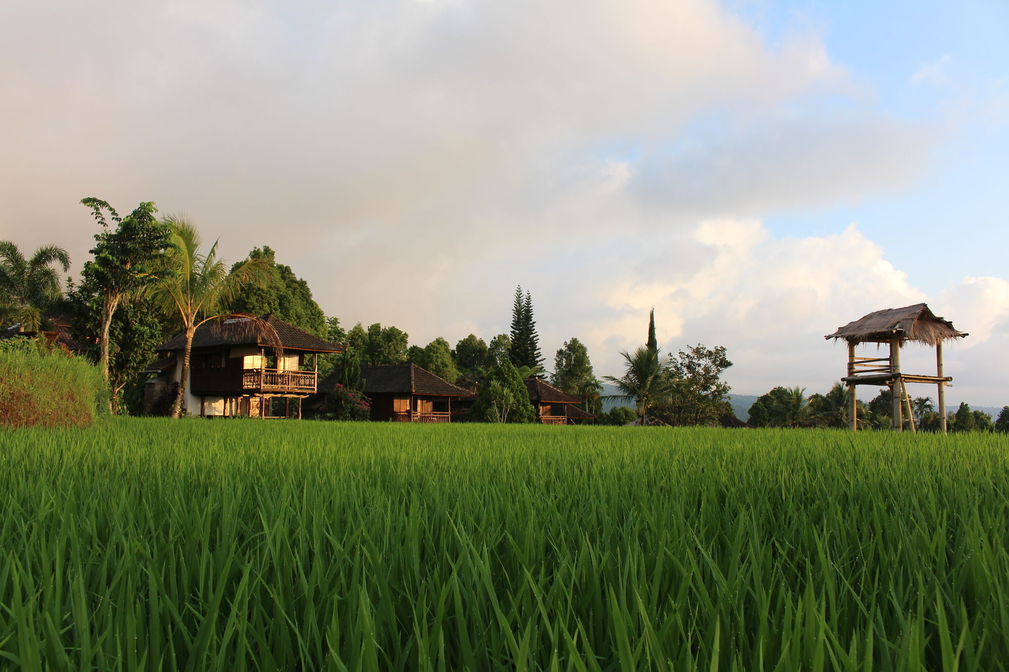 Puri Lumbung Cottages Gobleg  Екстериор снимка