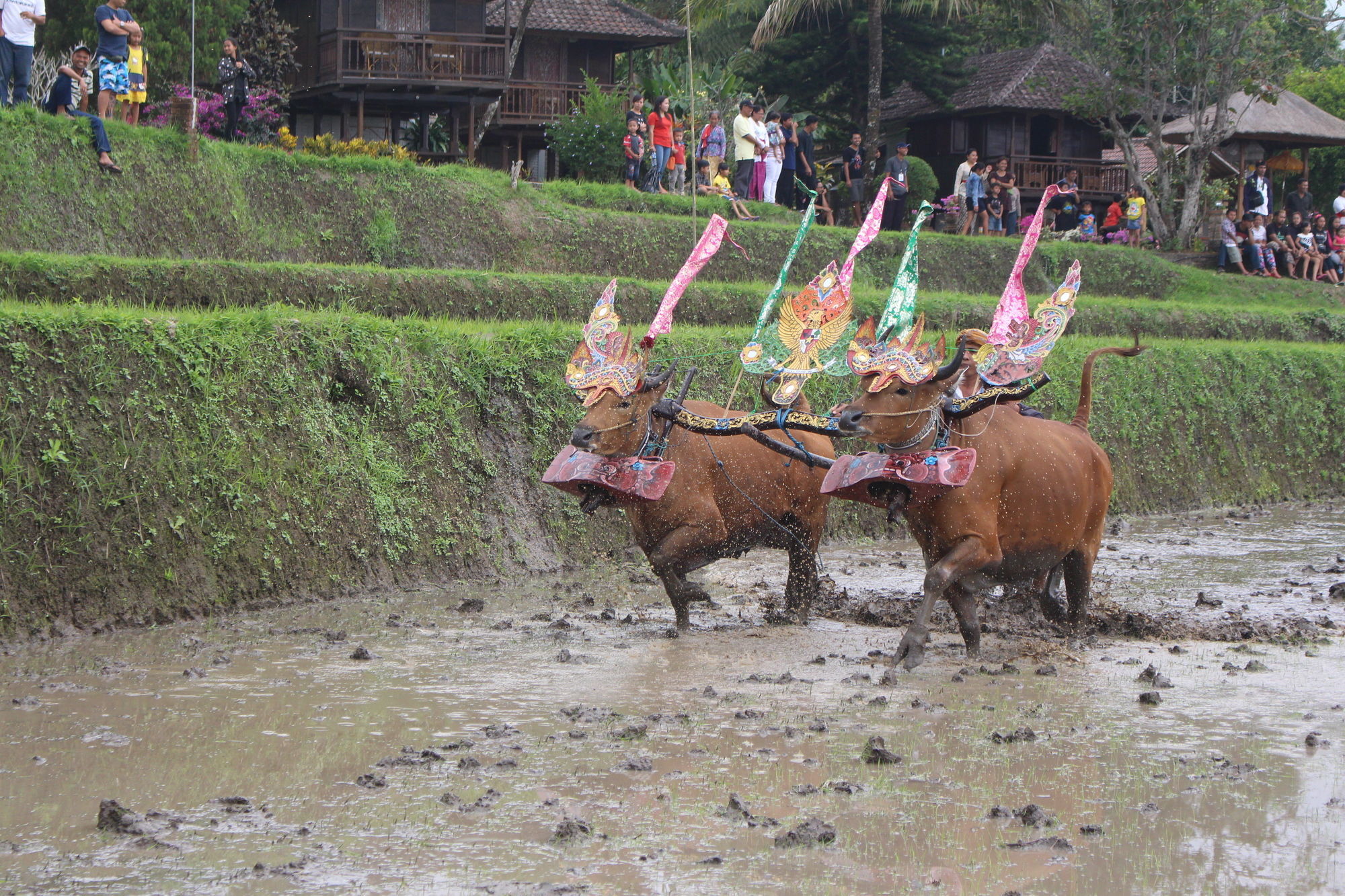 Puri Lumbung Cottages Gobleg  Екстериор снимка